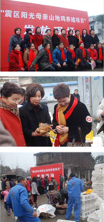 2010127115024.jpg