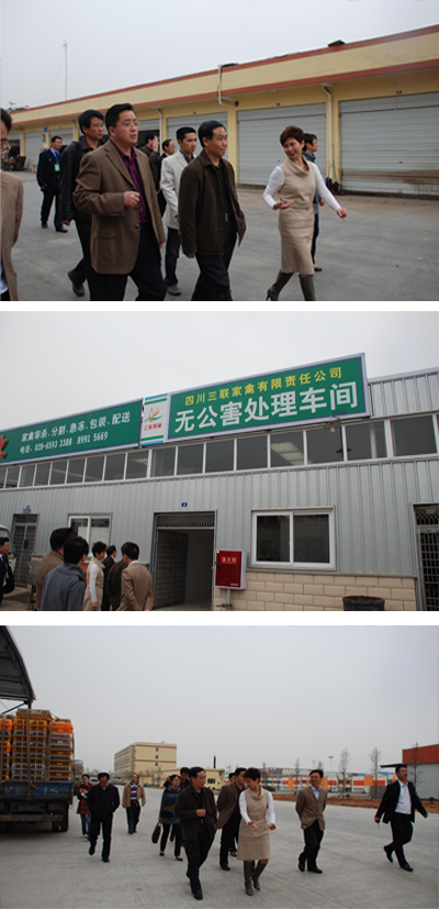 2010323113938.jpg