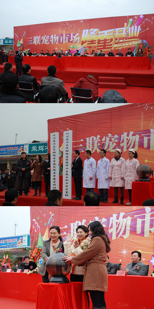 20121219125039.jpg