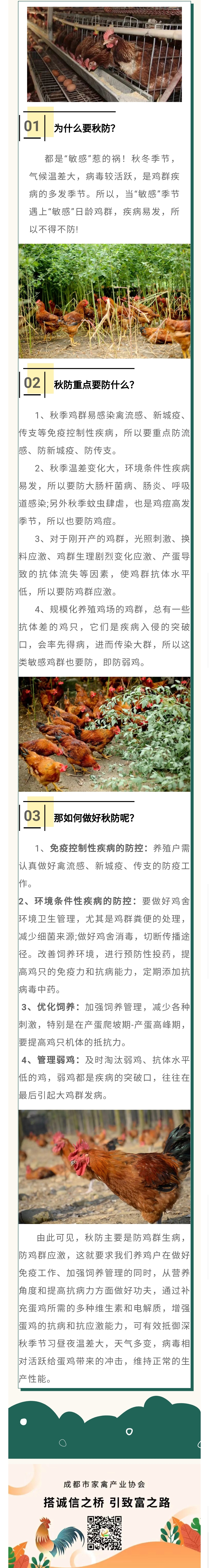 929.jpg