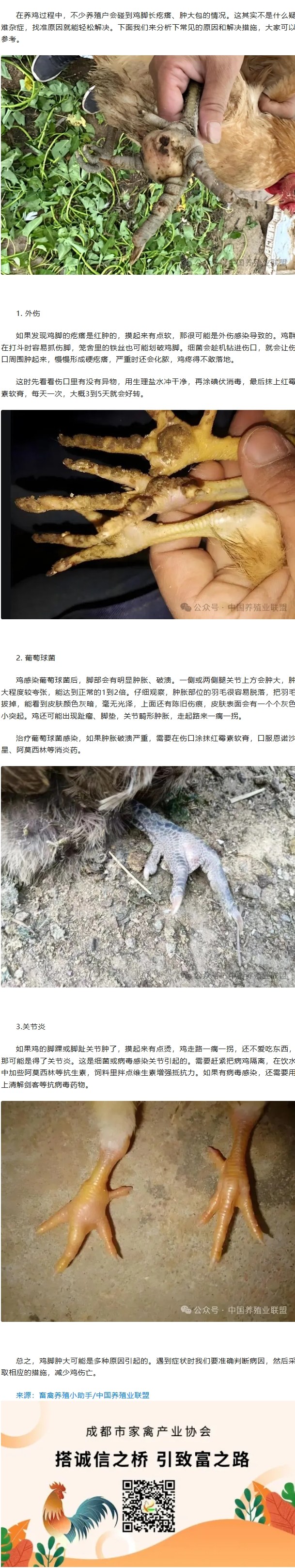 屏幕截图_19-3-2026_16635_mp.weixin.qq.com(1).jpeg