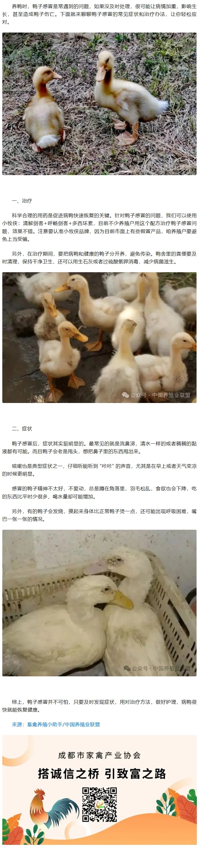 屏幕截图_19-3-2026_16363_mp.weixin.qq.com(1).jpeg